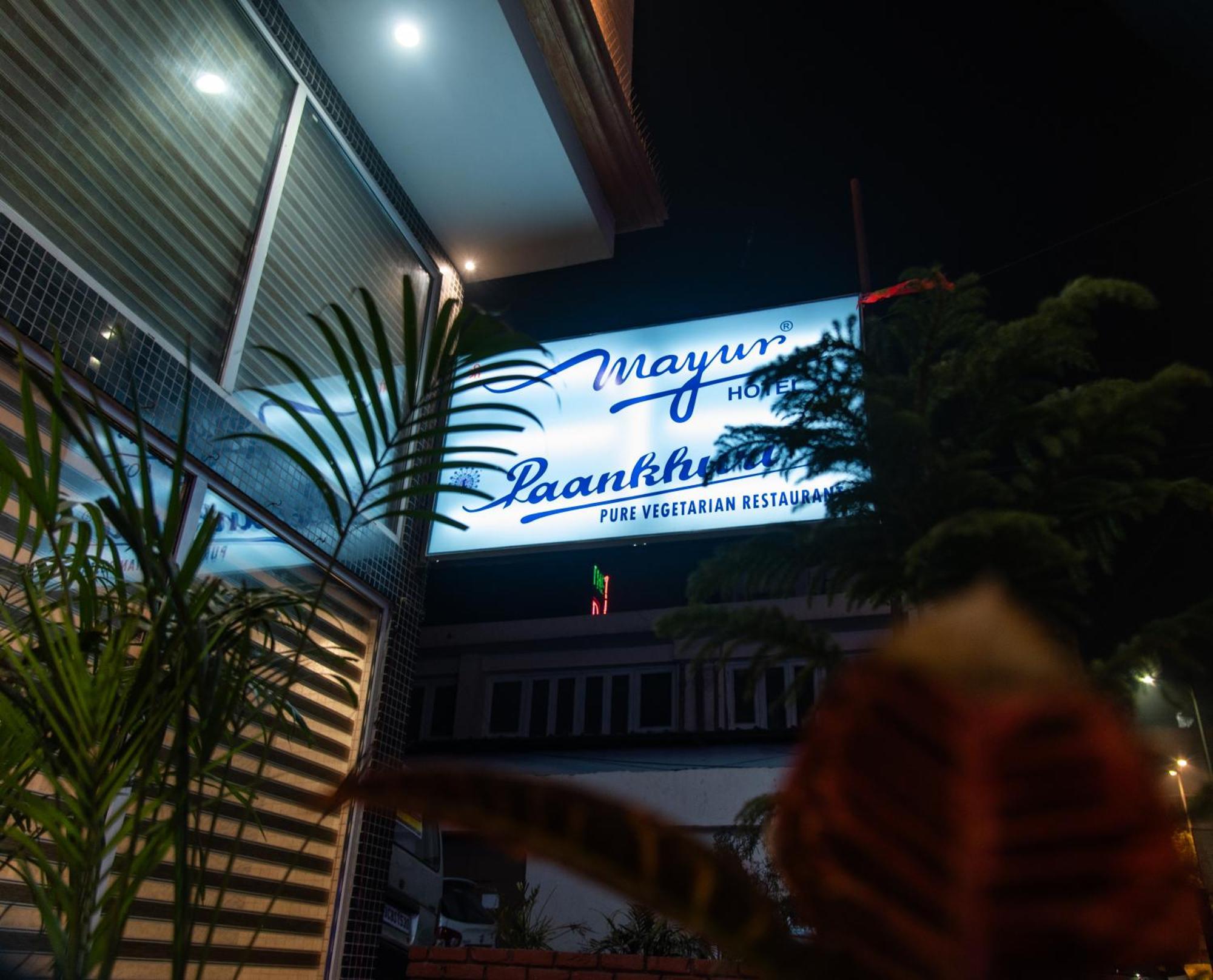 Mayur Hotel New Delhi Buitenkant foto