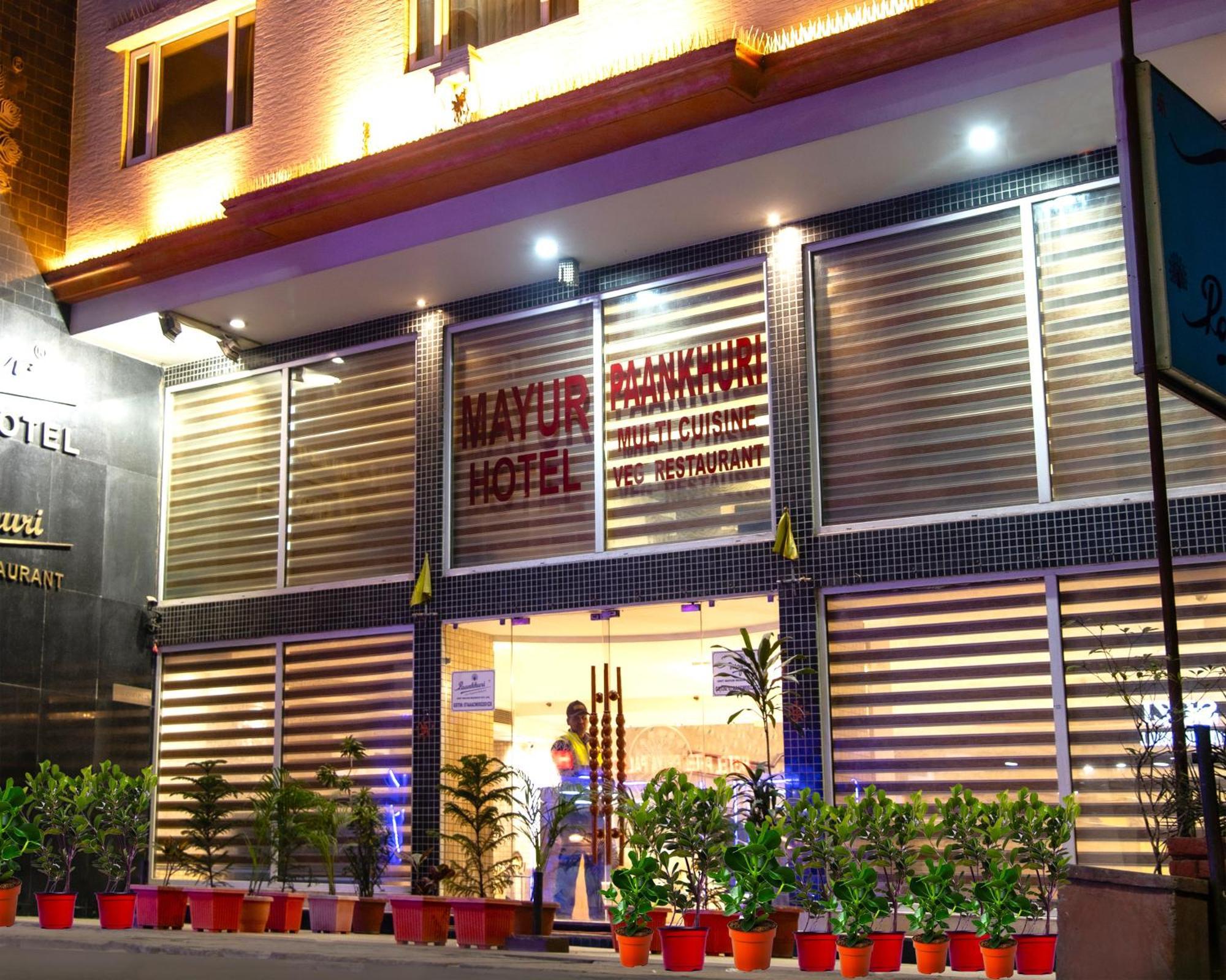 Mayur Hotel New Delhi Buitenkant foto